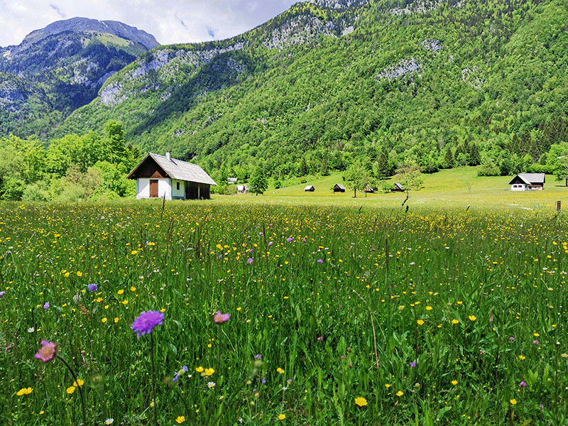 pac-bohinj-voje-mtb-tour.png