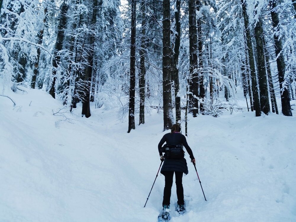 snowshoeing Pokljuka pac sports bohinj.jpg