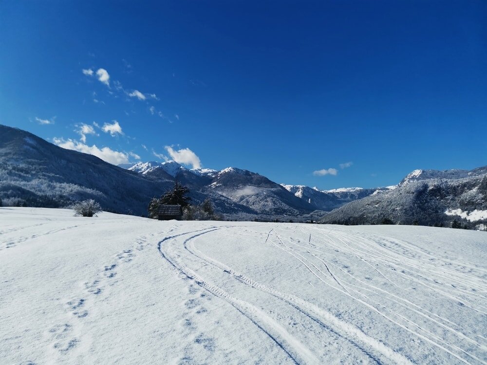 snowshoeing Bohinj pac sports bohinj.jpg