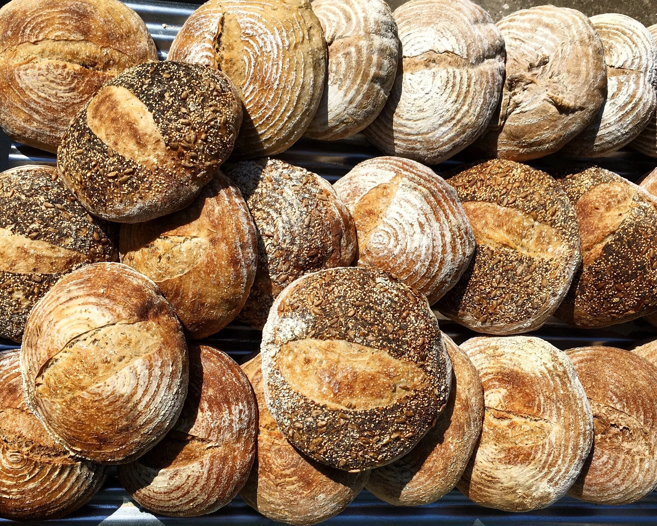 Fresh sourdough loaves stacked on a wooden surface inside Meg’s Bread bakery in Cookeville