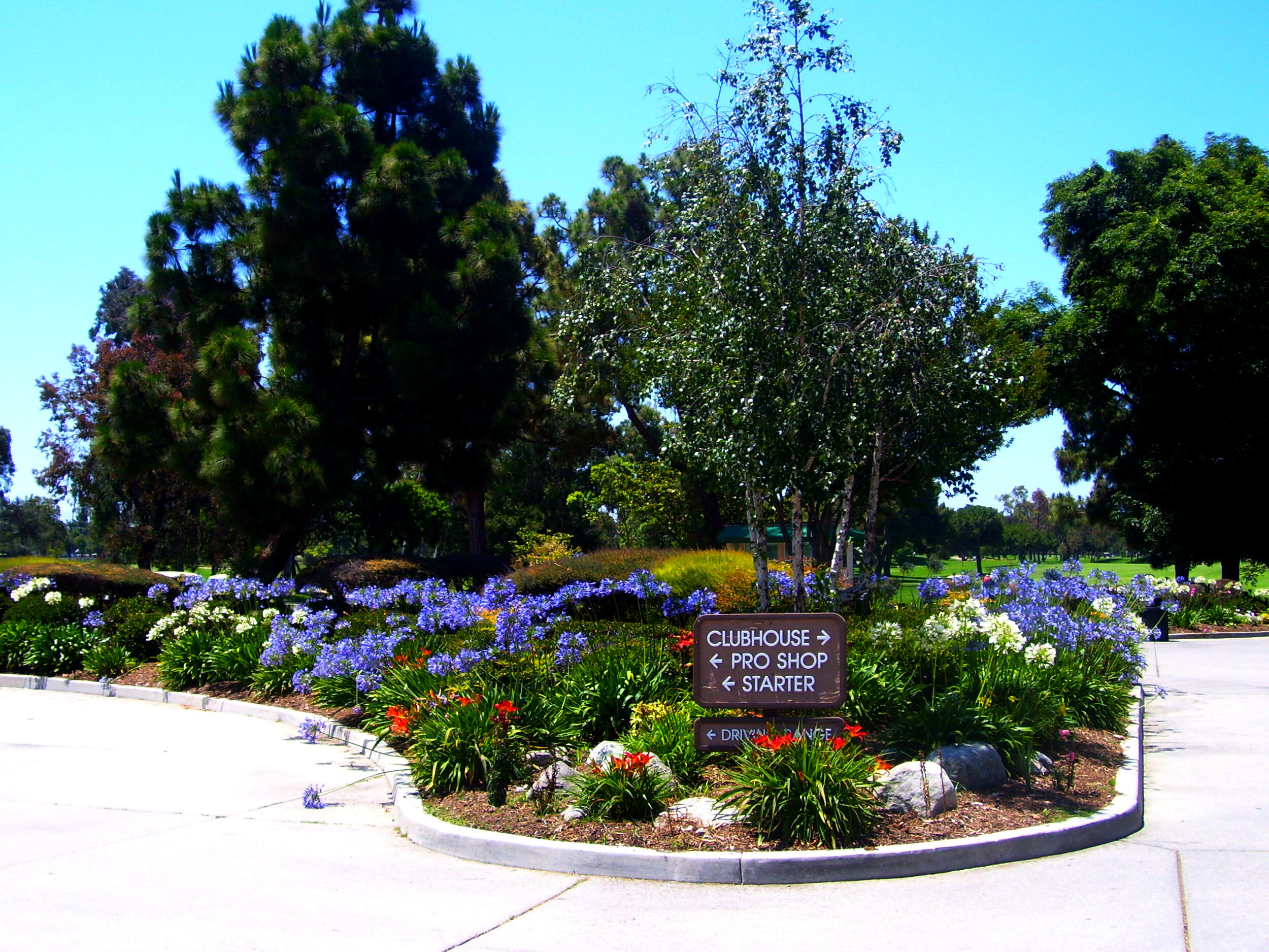 Resources for Costa Mesa Locals, During This Time