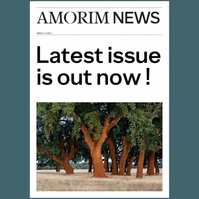 Introducing the latest issue of magazine Amorim News! This is a very special edition, focused on a theme that’s absolutely vital to us as a company, and to our common future on this beautiful planet we call home: Sustainability. Full English edition in link in bio.
.
.
.
.
#ourworldiscork #amorimcork #amorim #choosecork #allthatcorkcanbe #corkdork #corktribe #welovecork #corkdork #amorimnews #sustainability #sustainablematerials