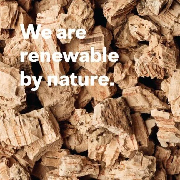 Today Portugal celebrates its National Energy Day! At Amorim, we implement circular economy in all our business units. Did you know that 63% of the Amorim’s energy is produced from biomass (cork powder), a renewable source of energy?
.
.
.
.
#ourworldiscork #amorimcork #amorim #choosecork #allthatcorkcanbe #corkdork #corktribe #welovecork #energy #nationalenergyday #renewableenergy #sustainability #sustainablemarterials