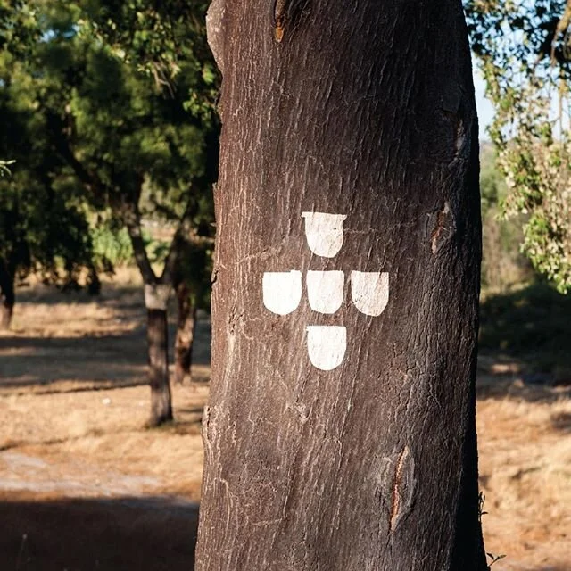 Feliz Dia de Portugal! 🇵🇹 Happy National Day, Portugal! 🇵🇹 Cork is part of who we are as a country. With 34% of the world’s area of cork oak forest and about 50% of the world’s cork production, Portugal is honored to stand for such a noble and beautiful sustainable material. Cork and Portugal are so closely tied, that in 2011, the cork oak tree was unanimously established as Portugal’s National Tree. This is a very special day for us at Amorim, as we celebrate our love for Portugal, and this amazing material we love so much!
.
.
.
.
#ourworldiscork #amorimcork #amorim #amorim150 #choosecork #corkdork #corktribe #welovecork #innovation #diadeportugal