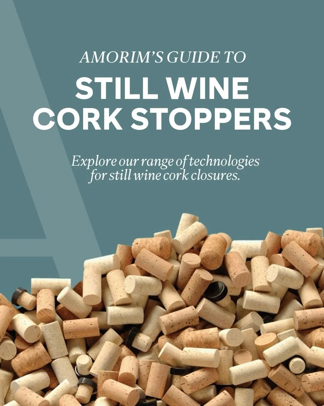 Behind every #Amorim still wine cork closure is a combination of nature and technology. From advanced quality control systems and traceability tools to innovative cleaning and sensory analysis processes, Amorim&rsquo;s cork technologies are designed 