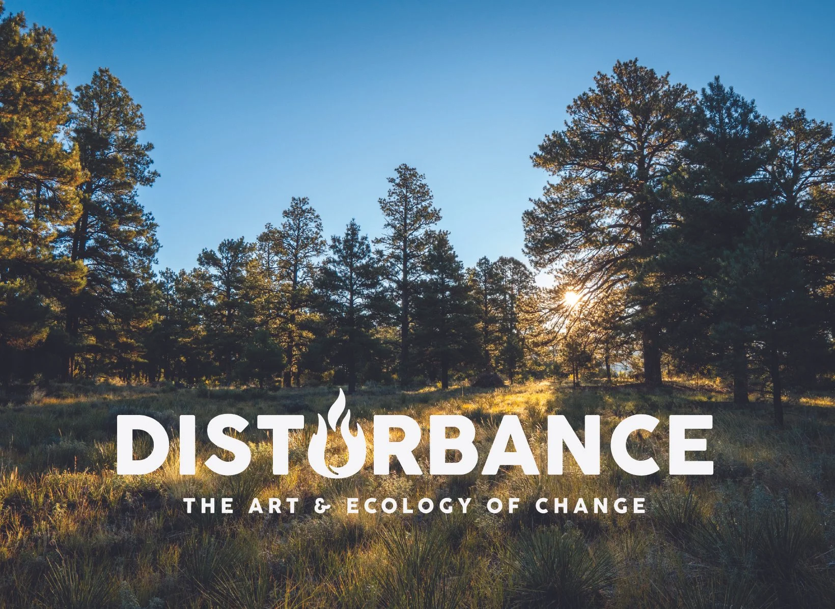Disturbance: The Art &amp; Ecology of Change