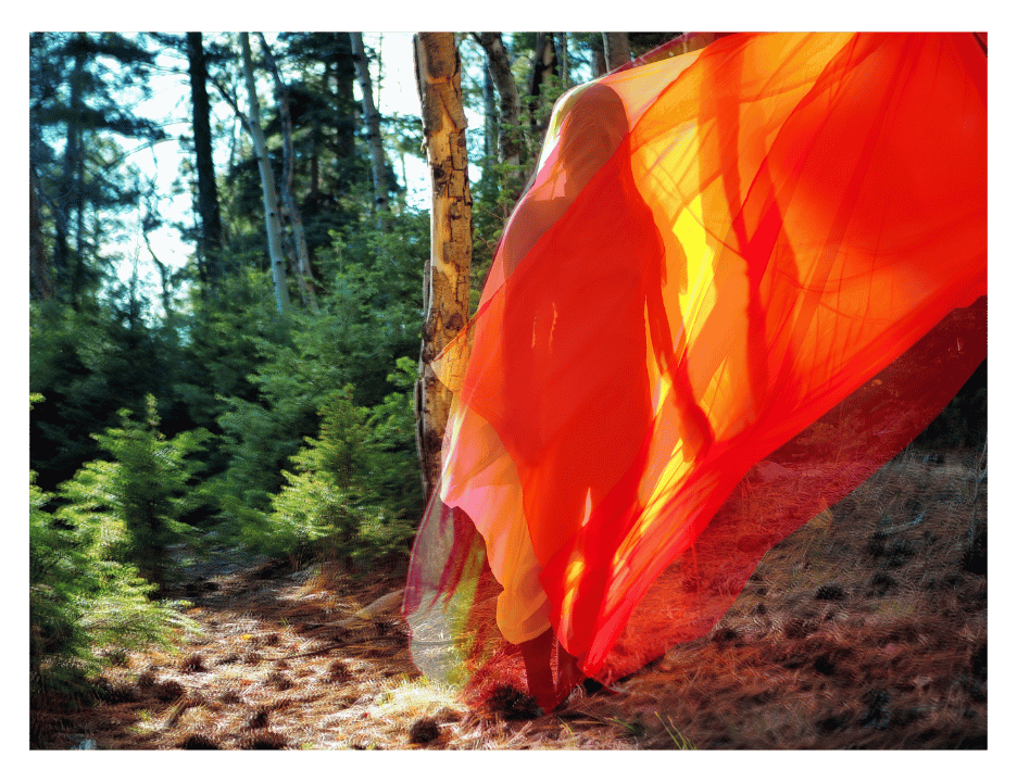 Disturbance: The Art &amp; Ecology of Change Exhibition