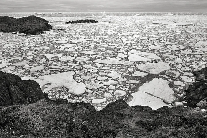 Arctic ice in June: harbinger of climate change