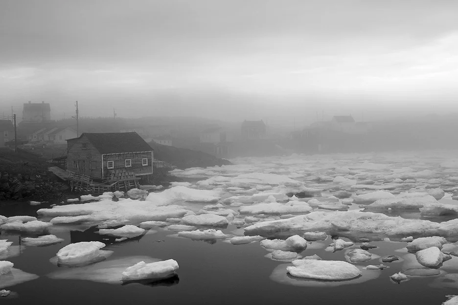 Morning fog at Fox Cove