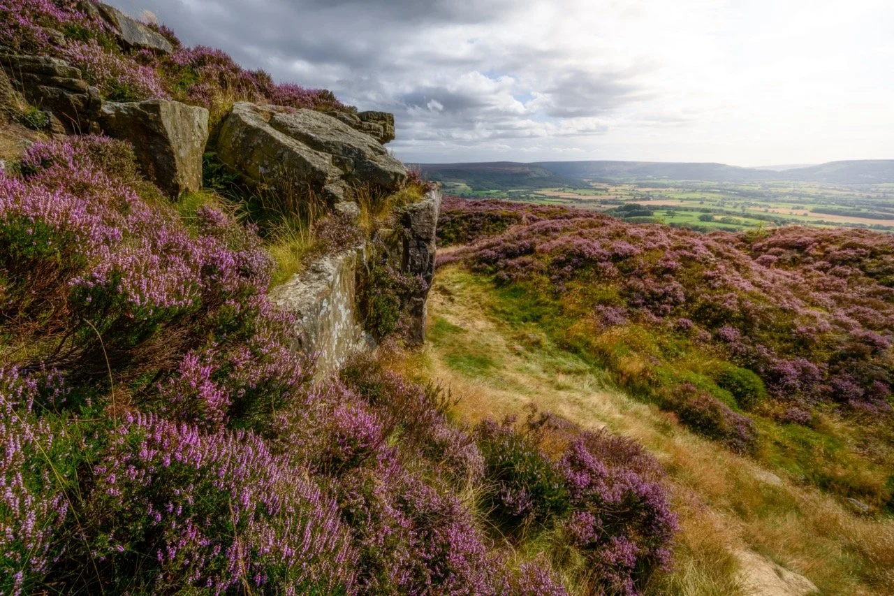 7 Key Landscape Photography Tips to Take Your Shots to the Next Level!