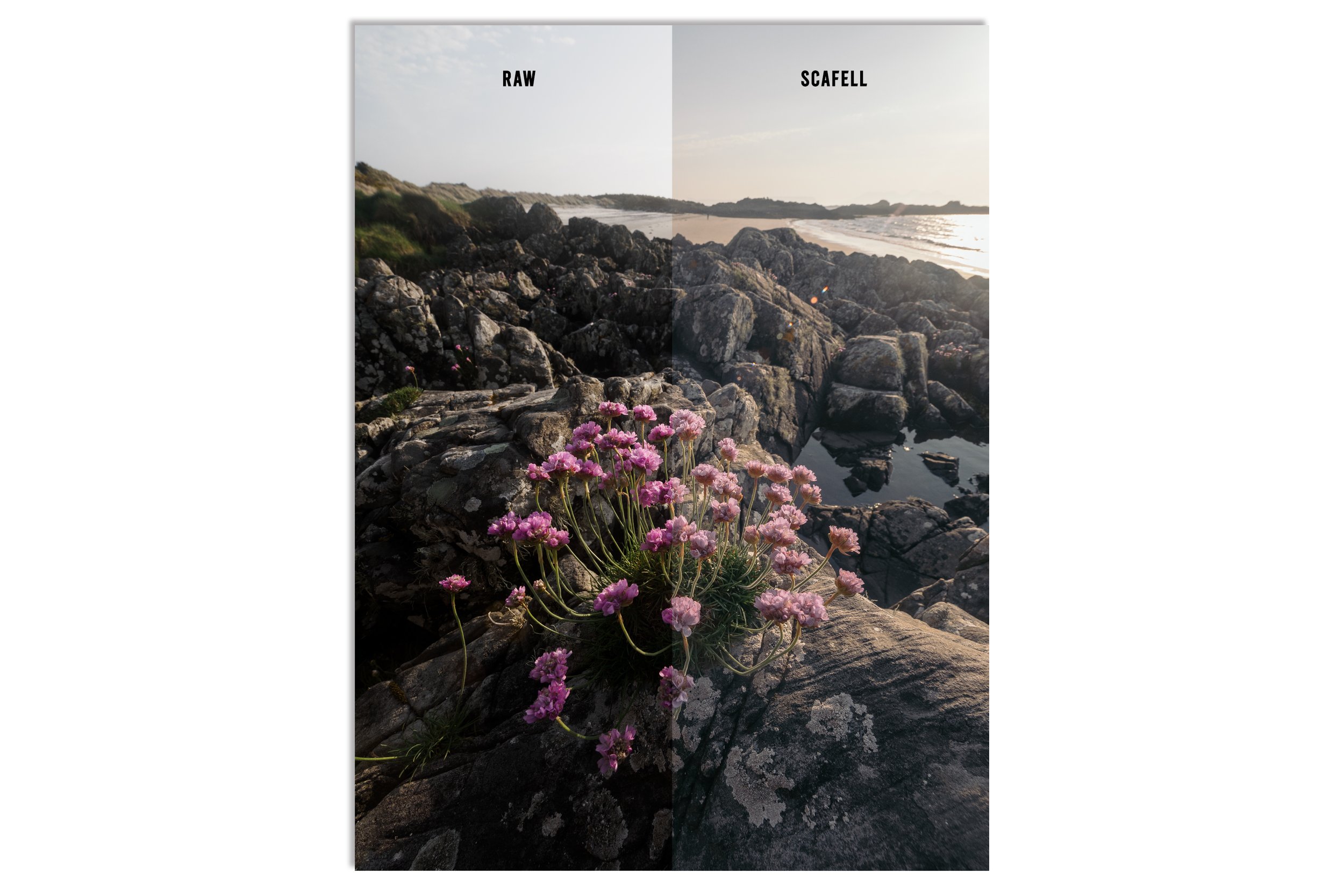 Scafell Coast.jpg