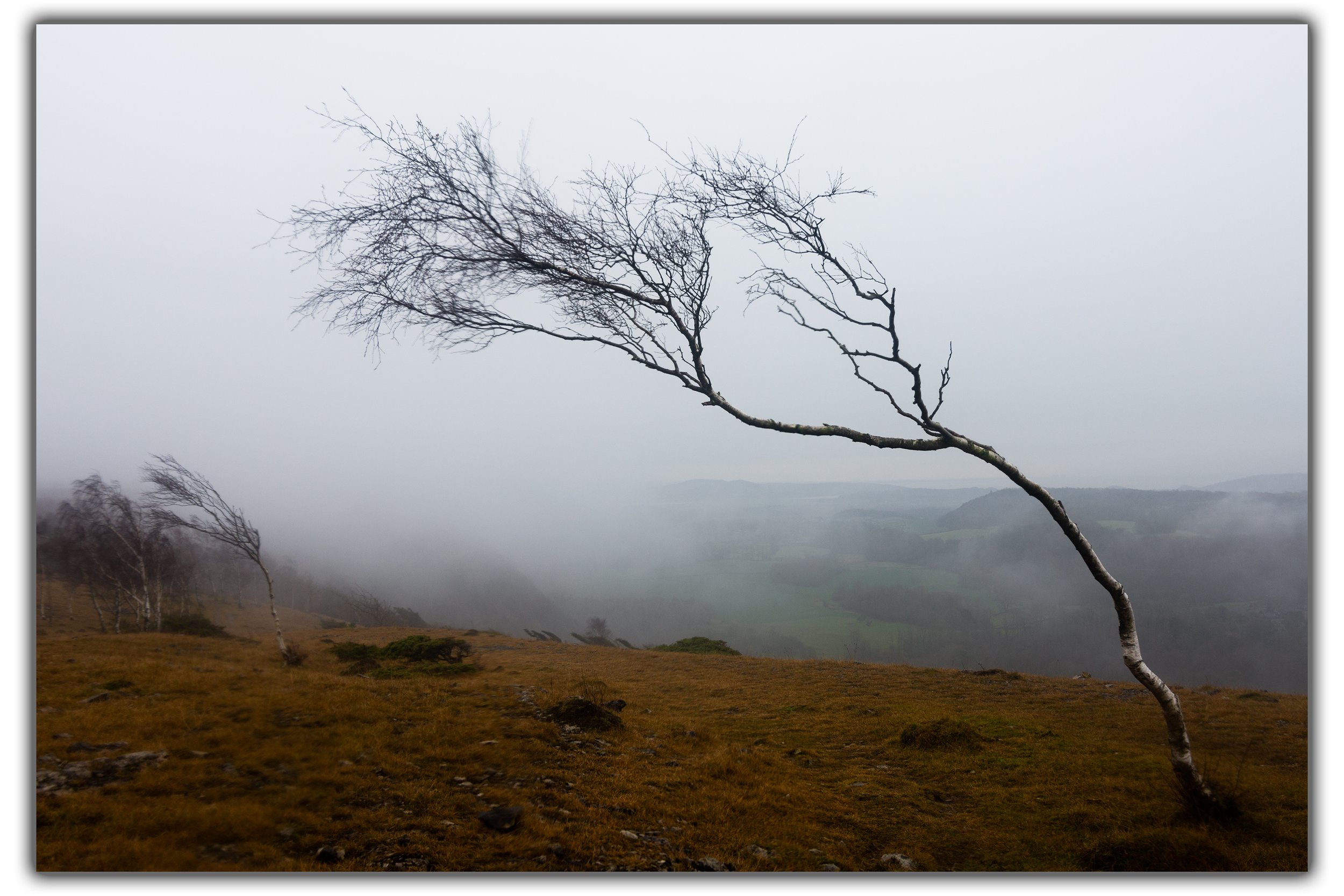 Whitbarrow Shadow.jpg