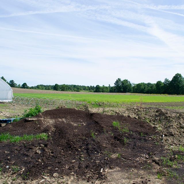 Farm tour with Ted at Ohio Earth Food Micro Farm Project. This project, located in #johnstownohio -- about 30 minutes northeast of #columbusohio -- is like renting office space but for growing produce instead. Ted provides everything&hellip;EVERYTHIN