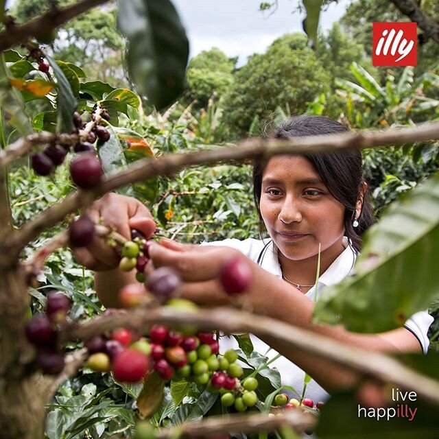 Happy Earth Day! Illycaffe has always pursued an unwavering commitment to the highest ethics, aiming to improve the quality of life for all of its stakeholders. Help us support the earth as well as each other. ☕🌍&hearts;️🌎🙏