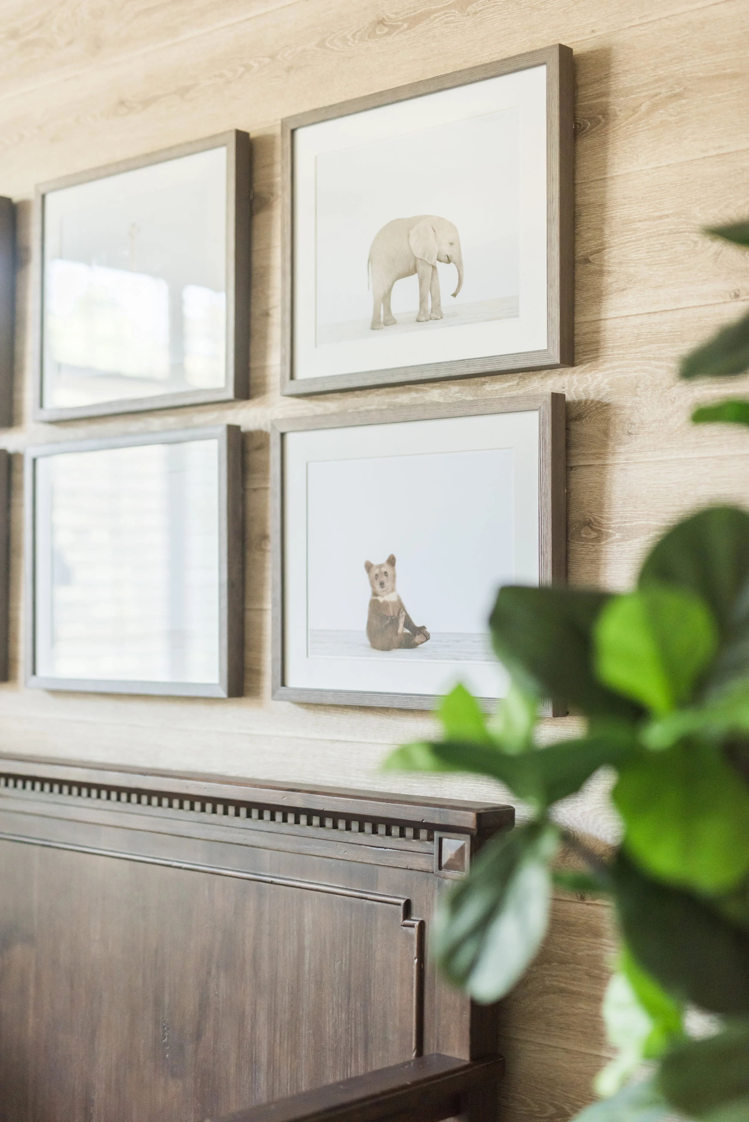 Safari-nursery-wall-decor.jpg