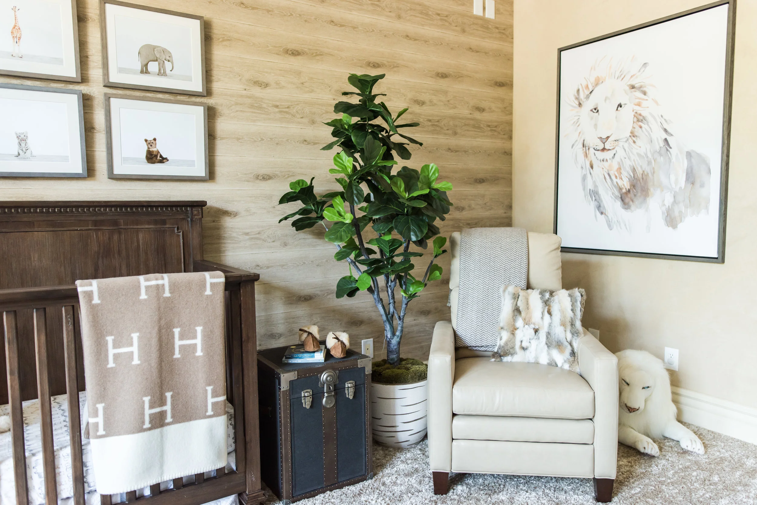 Safari-nursery.jpg