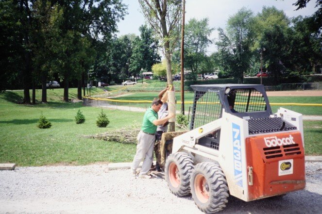 Lions Park Renovation 1990 – 1997 Tree Planting
