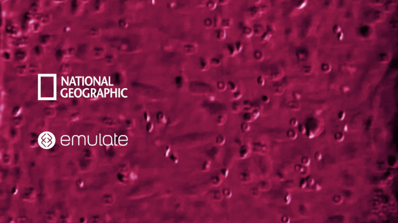 natgeo-header-rbc-4.gif