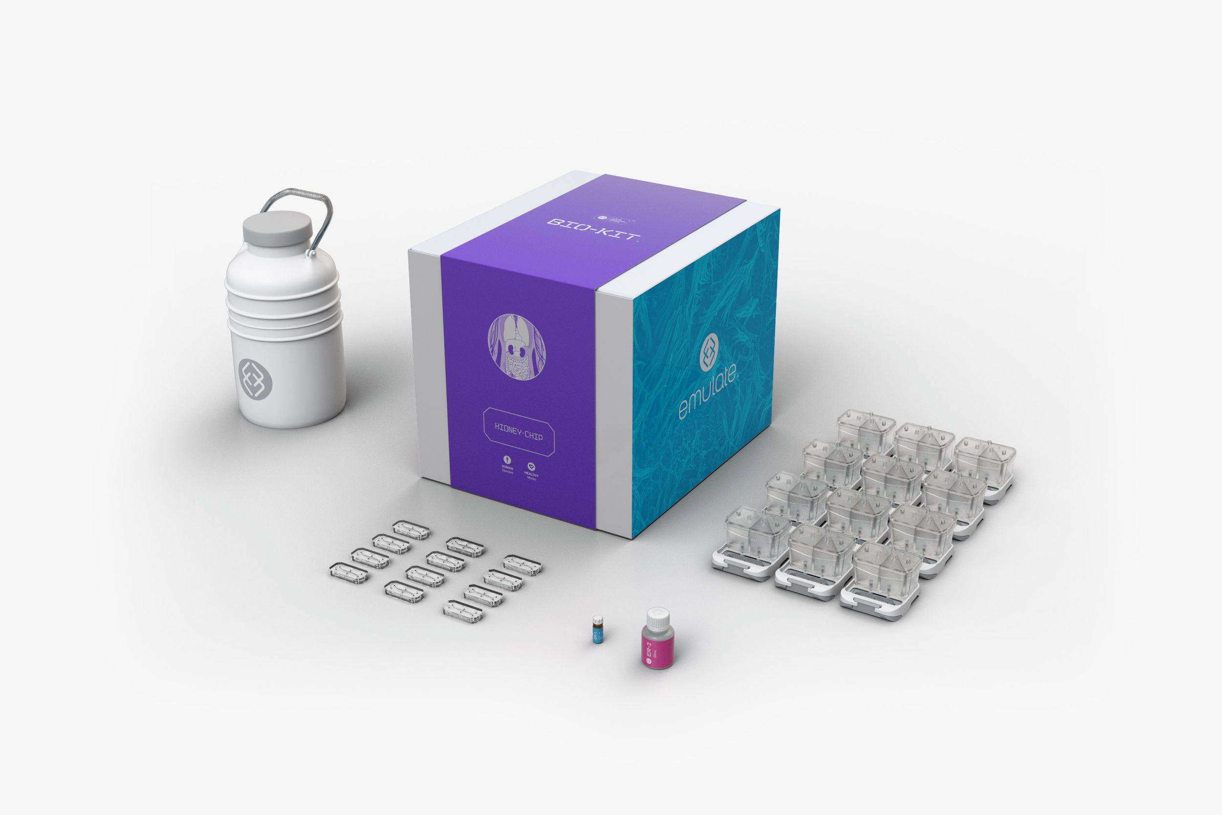 Kidney Bio-Kit