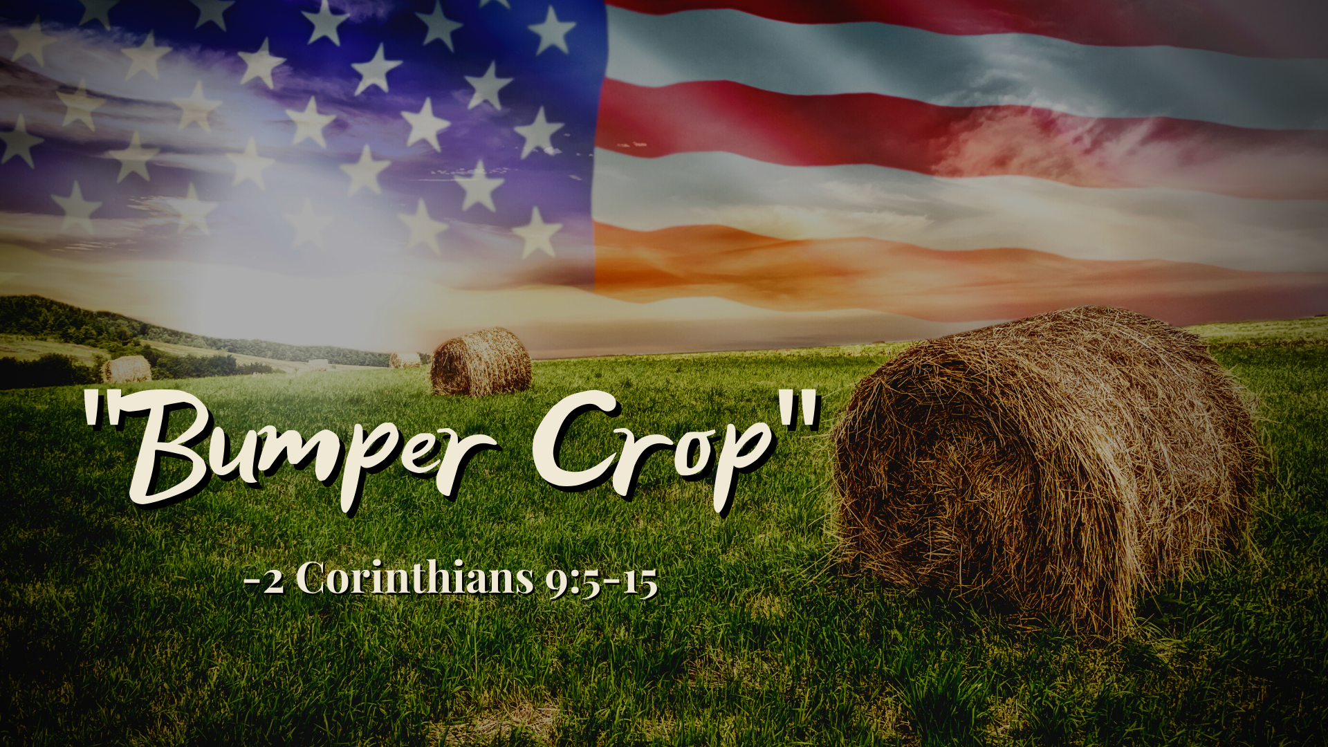 Bumper Crop