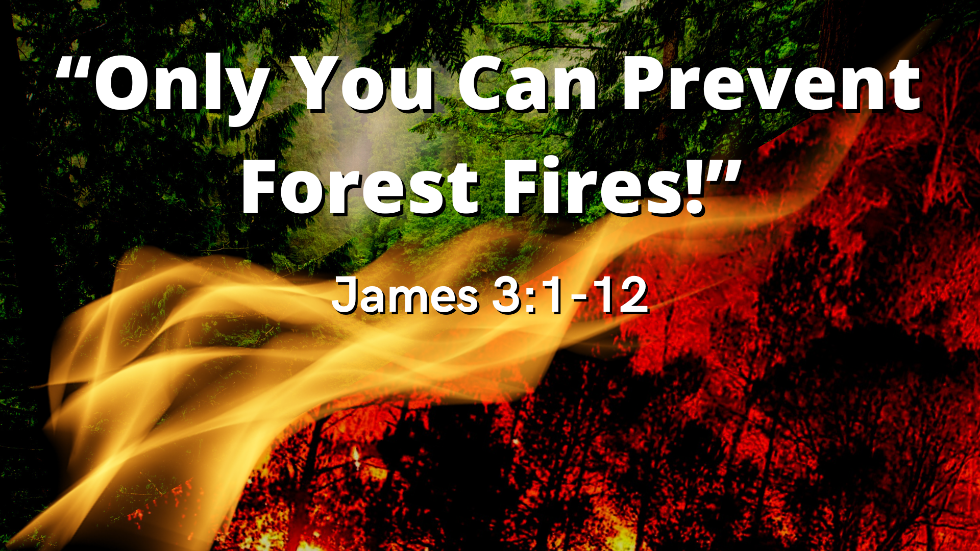 Only You Can Prevent Forest Fires