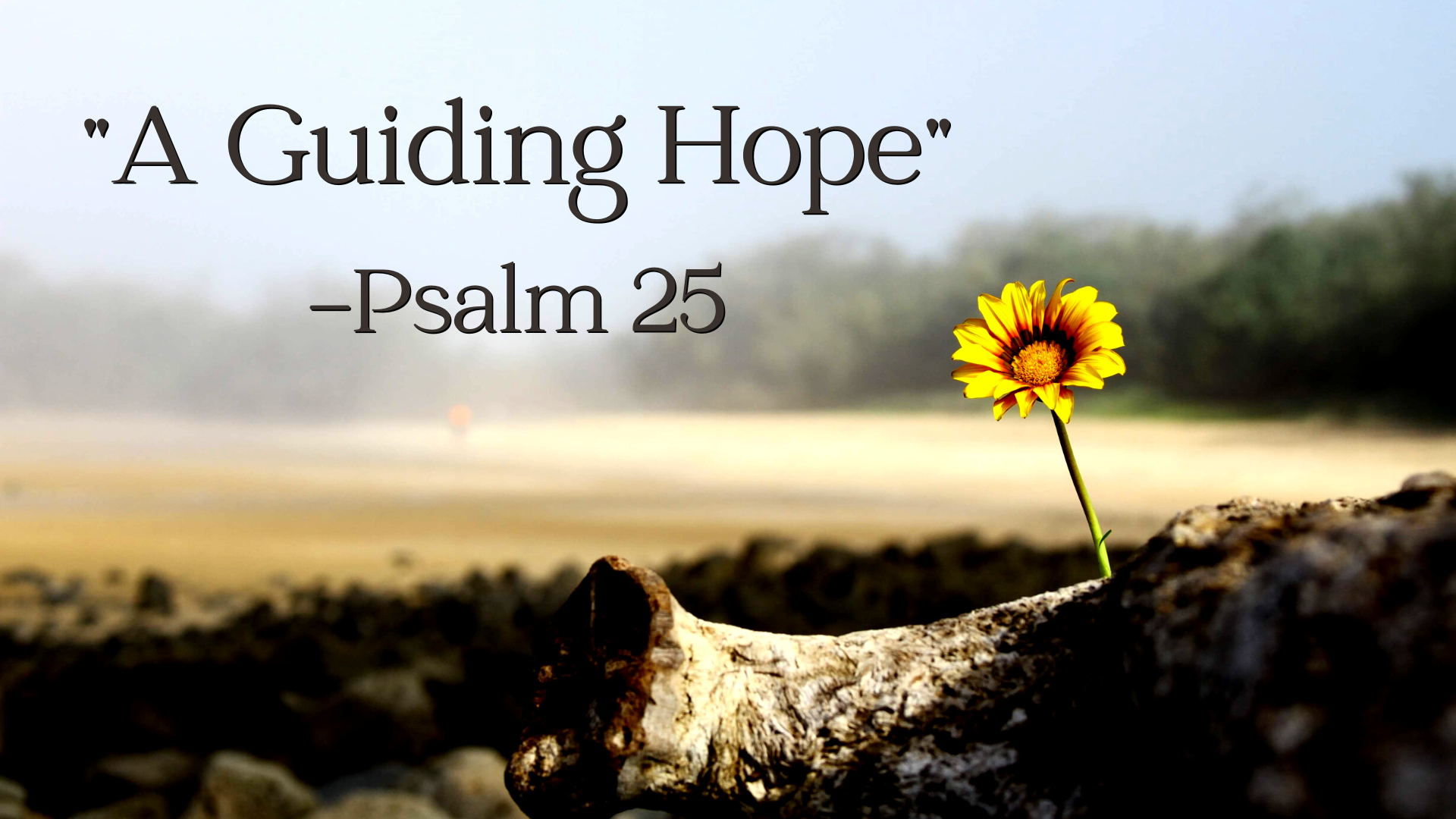 Guiding Hope