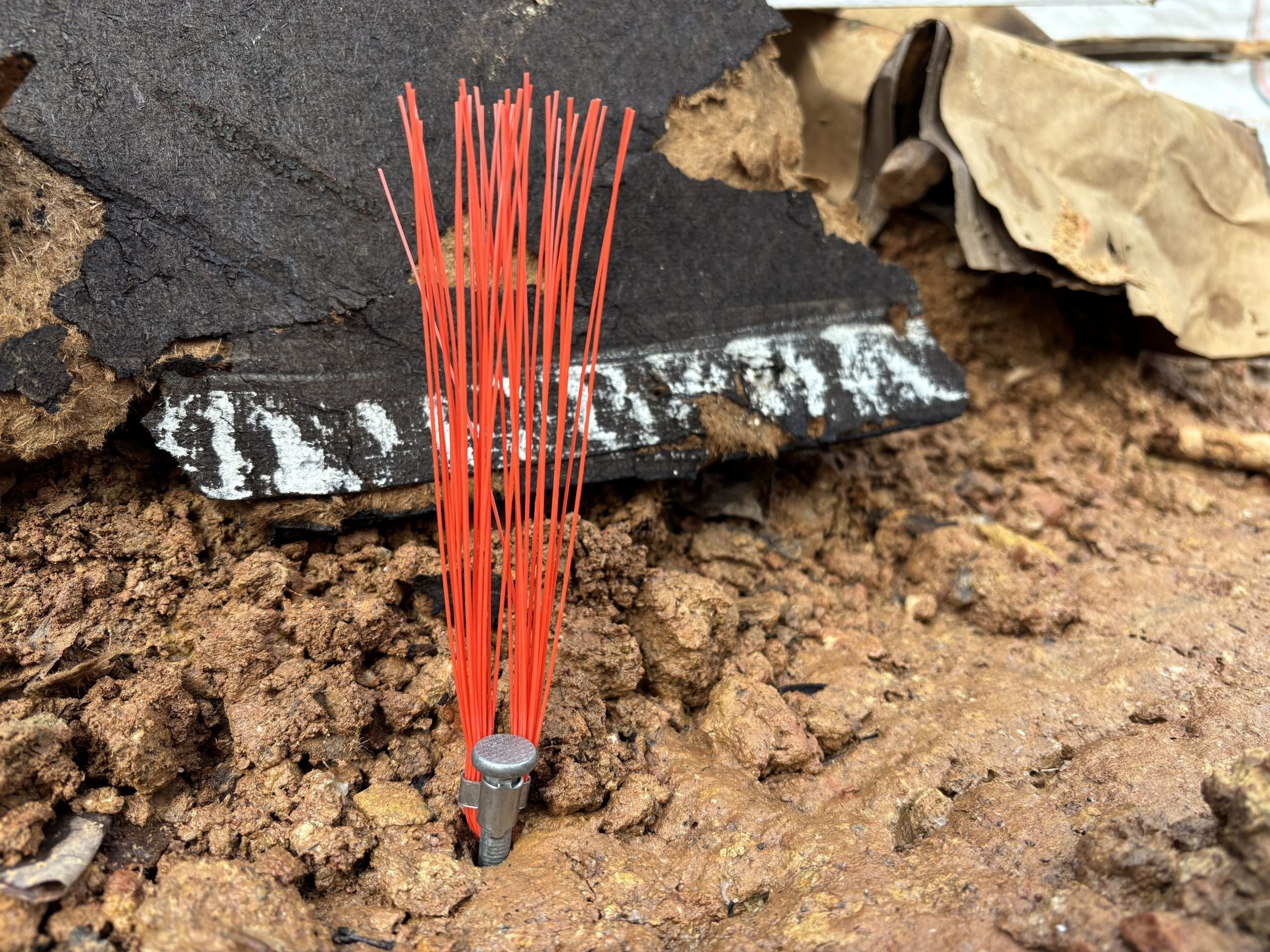 Boundary Identification After California Wildfires.jpg