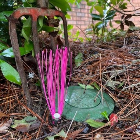 Trail Chasers Ground Markers being used to mark the location of a pop-up drainage emitter.jpg