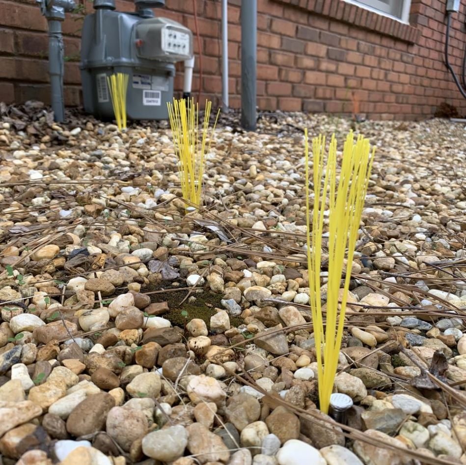 Trail Chasers Survey Markers marking Underground Utilities.jpg