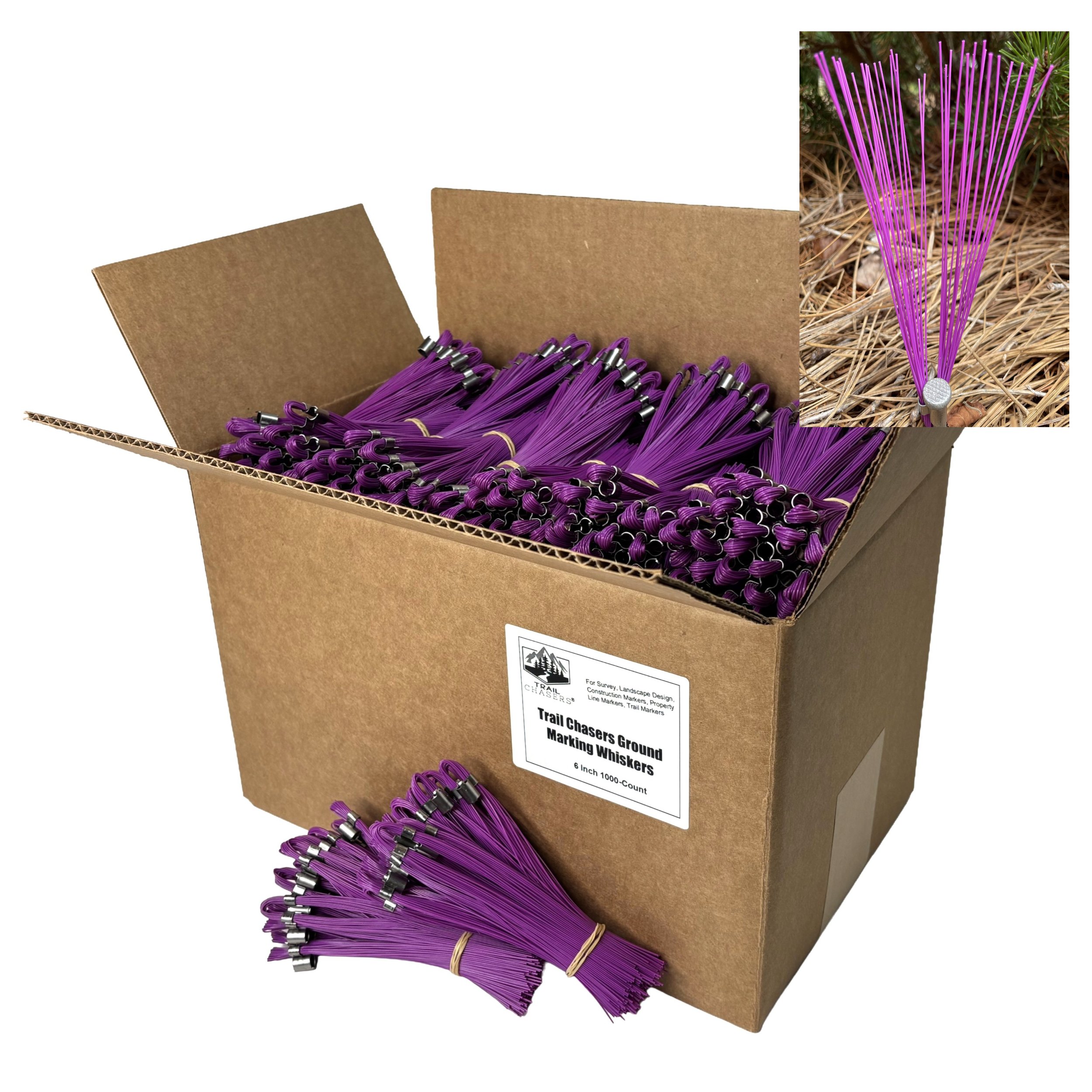 Trail Chasers 1000-Count Purple Survey Marking Whiskers 6 Inch
