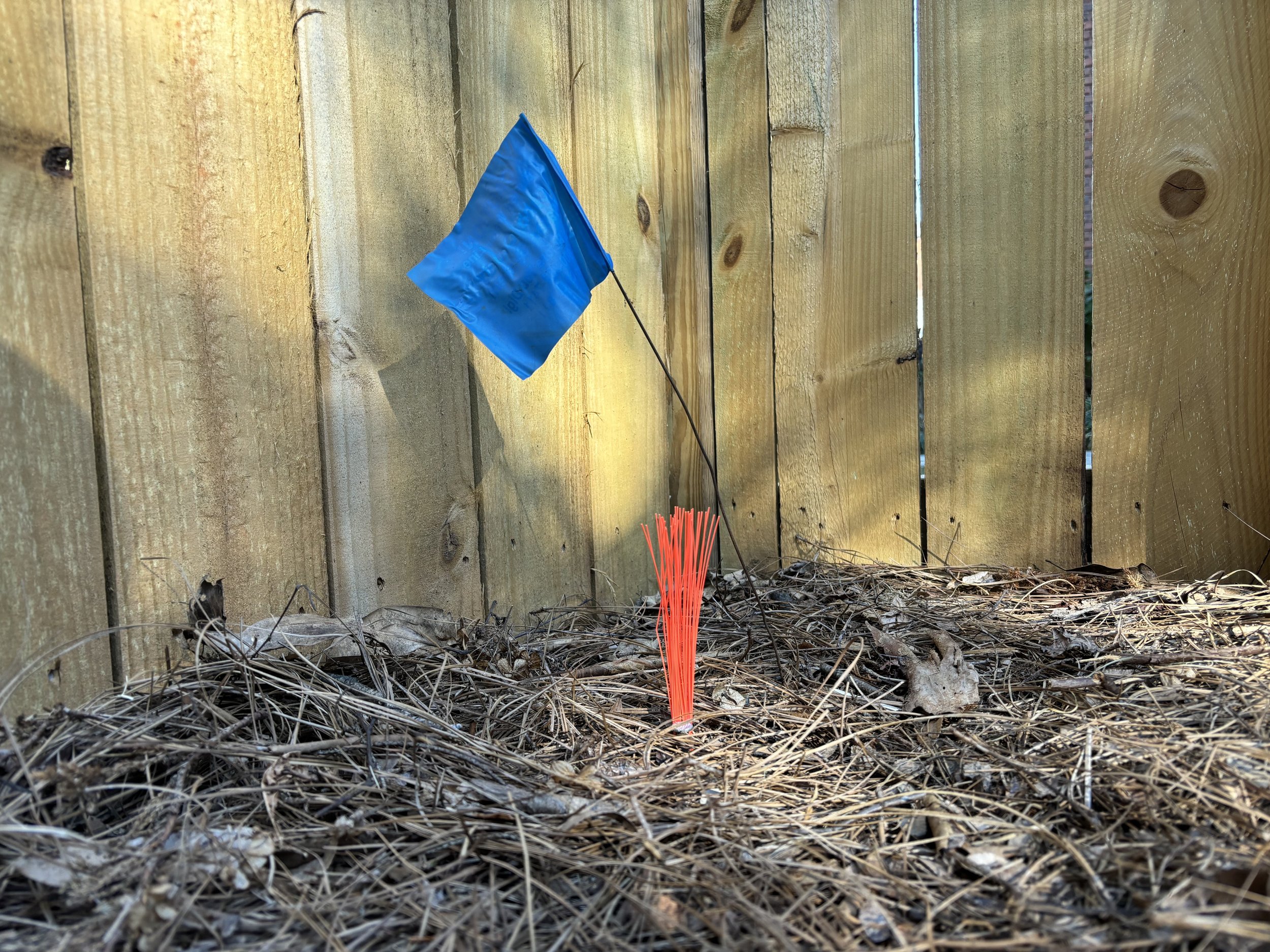 Trail Chasers Survey Marker vs Wire Marking Flag Blog.jpg
