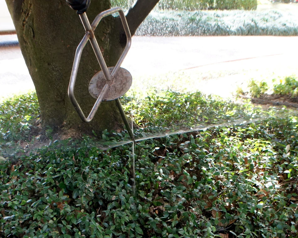 Deep-Root Tree Feeding by Lanson B. Jones & Co.