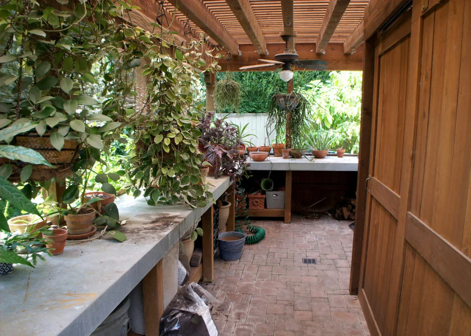A plant lover's workshop.