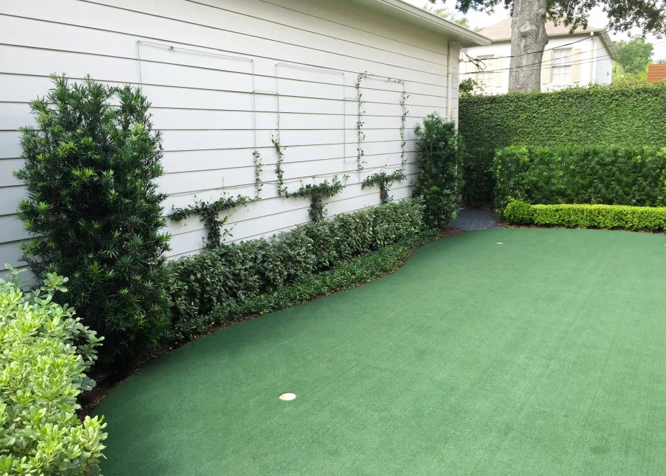 Left: Confederate Jasmine growing on a three-square pattern cable to resemble a pollarded tree grove.
