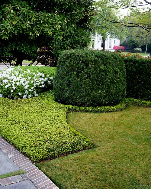 Formal-English-Estate_Image-8.jpg