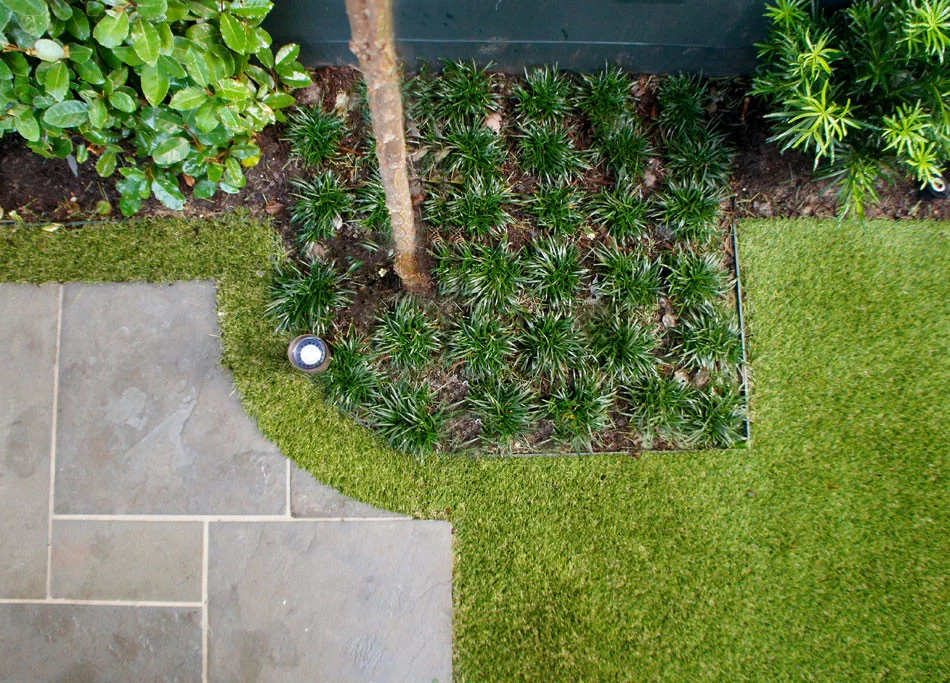 Synthetic lawn follows the scalloped corner of the patio creating a shapely, "floating" effect and Dwarf Monkey Grass surrounds the four corners for added texture.