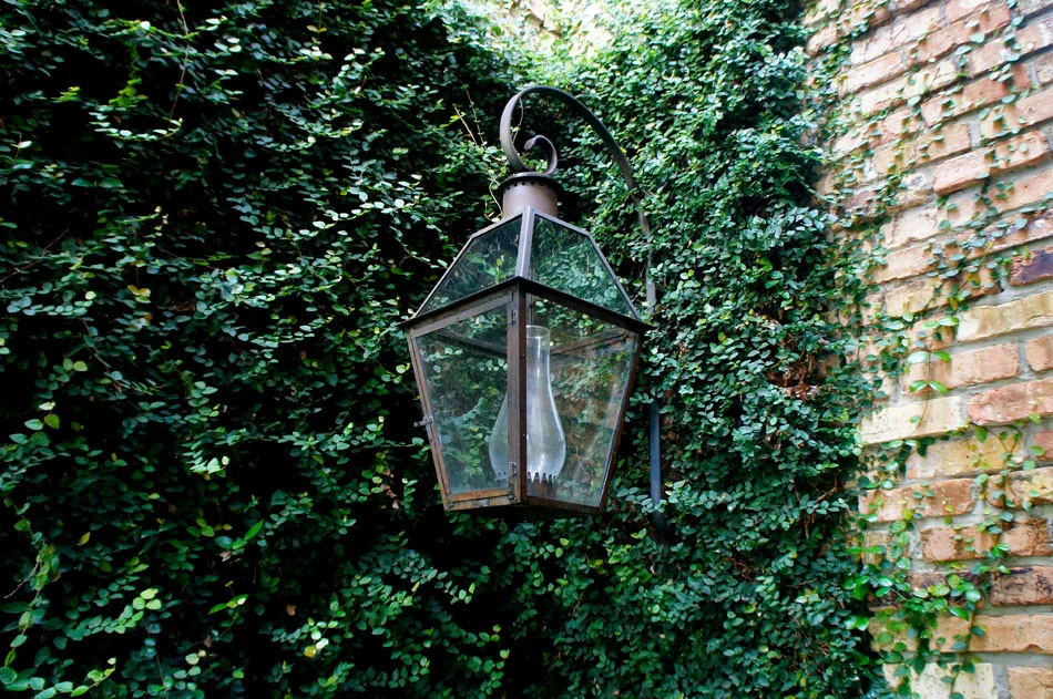 Beautiful Bevolo French Quarter lantern with scroll is immersed in the soft Fig Ivy.