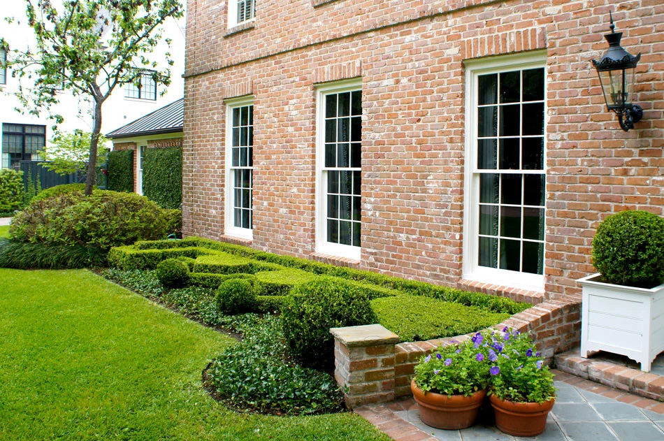 Formal english hedges frame the front of the home. The geometric shape is reminiscent of european parterre gardens with its symmetrical patterns and tightly clipped asian jasmine edging. Terra cotta pots hold purple petunias.