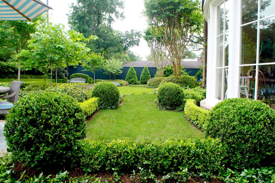 View of transition garden from back gate.