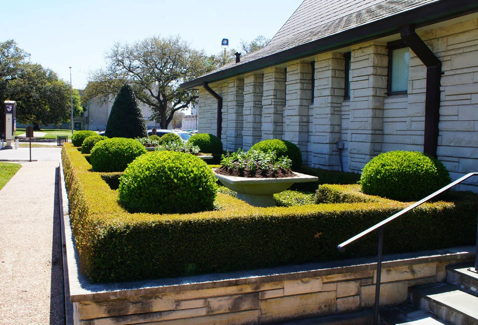Geometric boxwood hedges are anchored with boxwood globes and serve to frame color planters along the outer walls of the church.