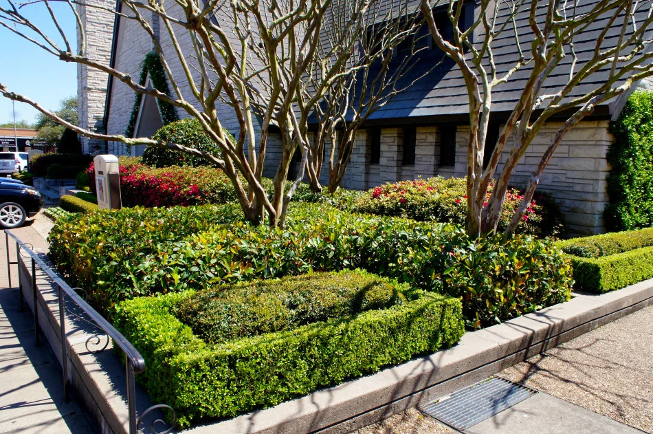 Geometric garden beside the church's handicap ramp.
