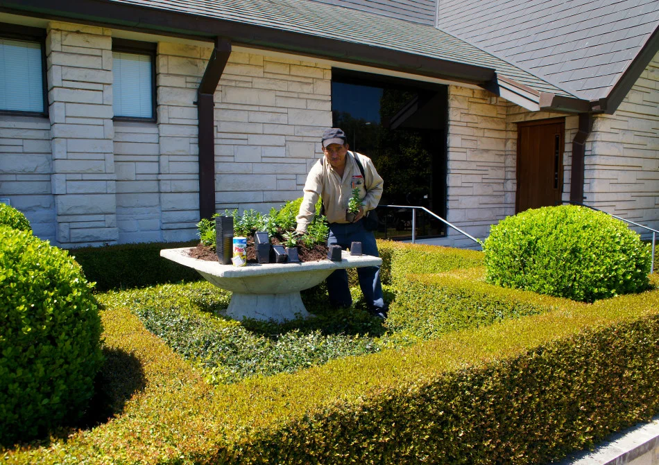 Our maintenance crew installing fresh spring color! These will fully flush in a couple weeks!
