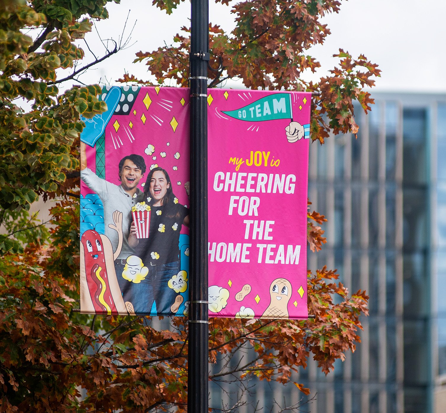 Boston University Comm Ave Banners, Home Team