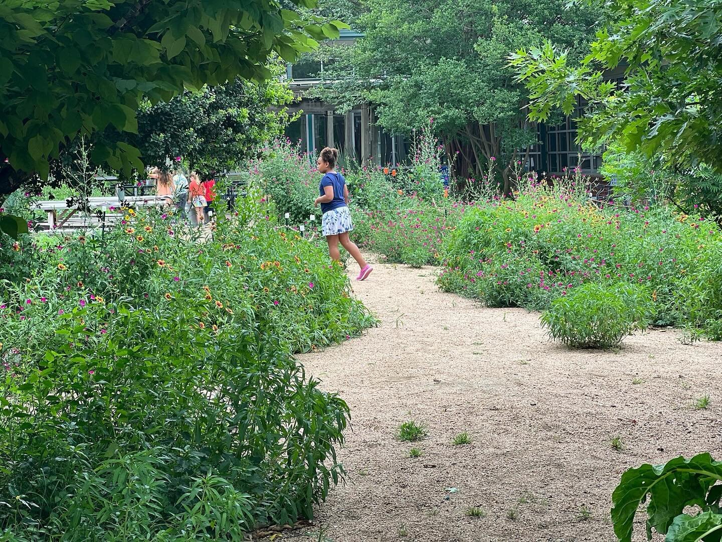 We lovingly installed this meadow at Gullet Elementary 2 years ago at cost. And over the past year we have been transforming the front of Davis Elementary with trails, seeded meadows, rain gardens, orchards and woodlands.

Interested in transforming 