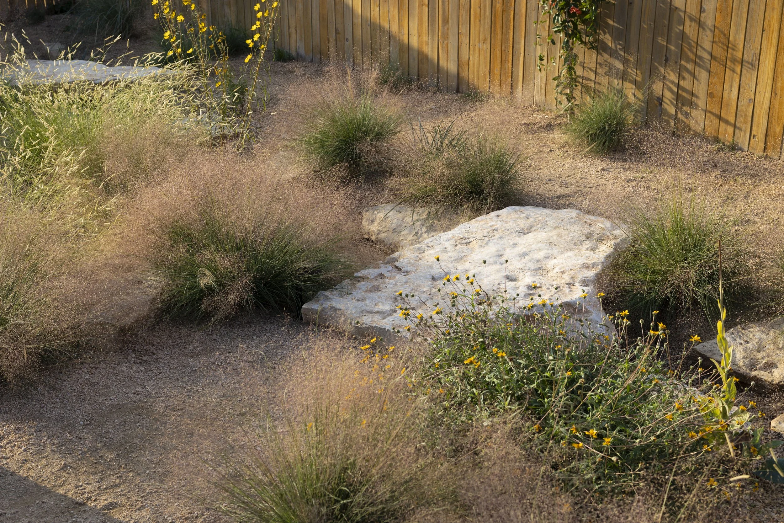 Cerro Castellan_16.jpg