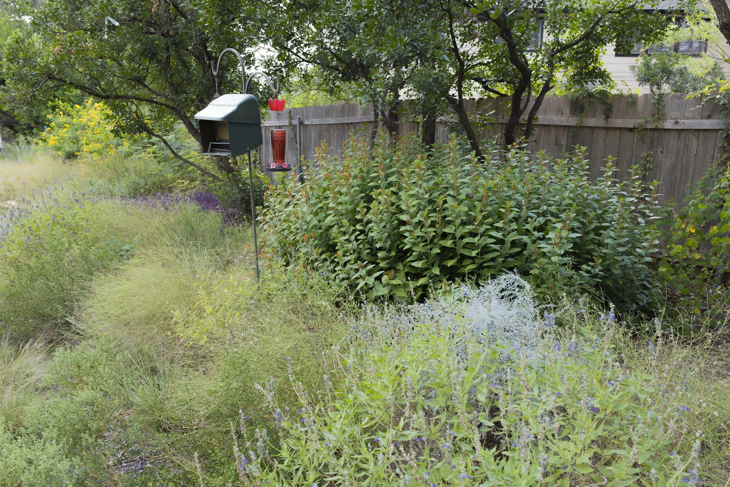 Shadow Mountain_4.jpg