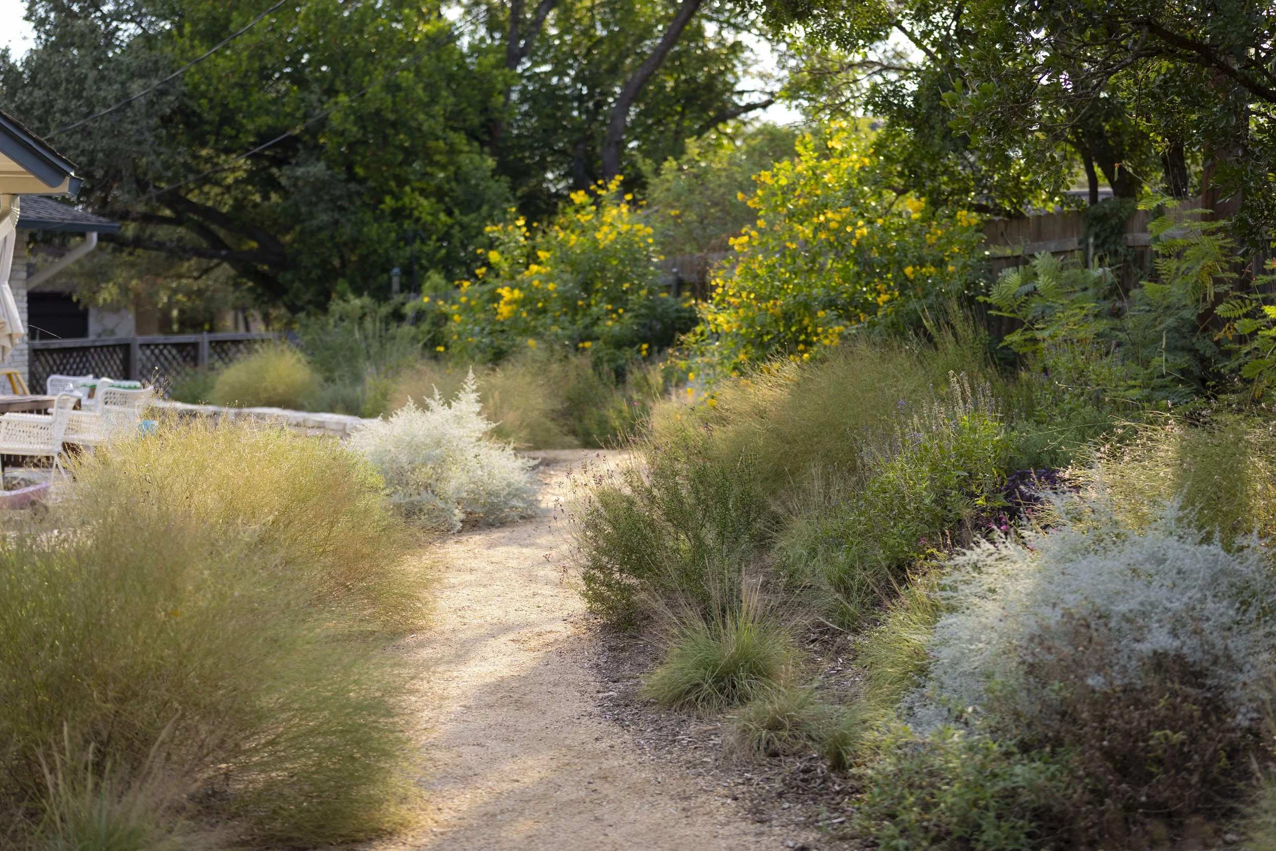 Shadow Mountain_31.jpg