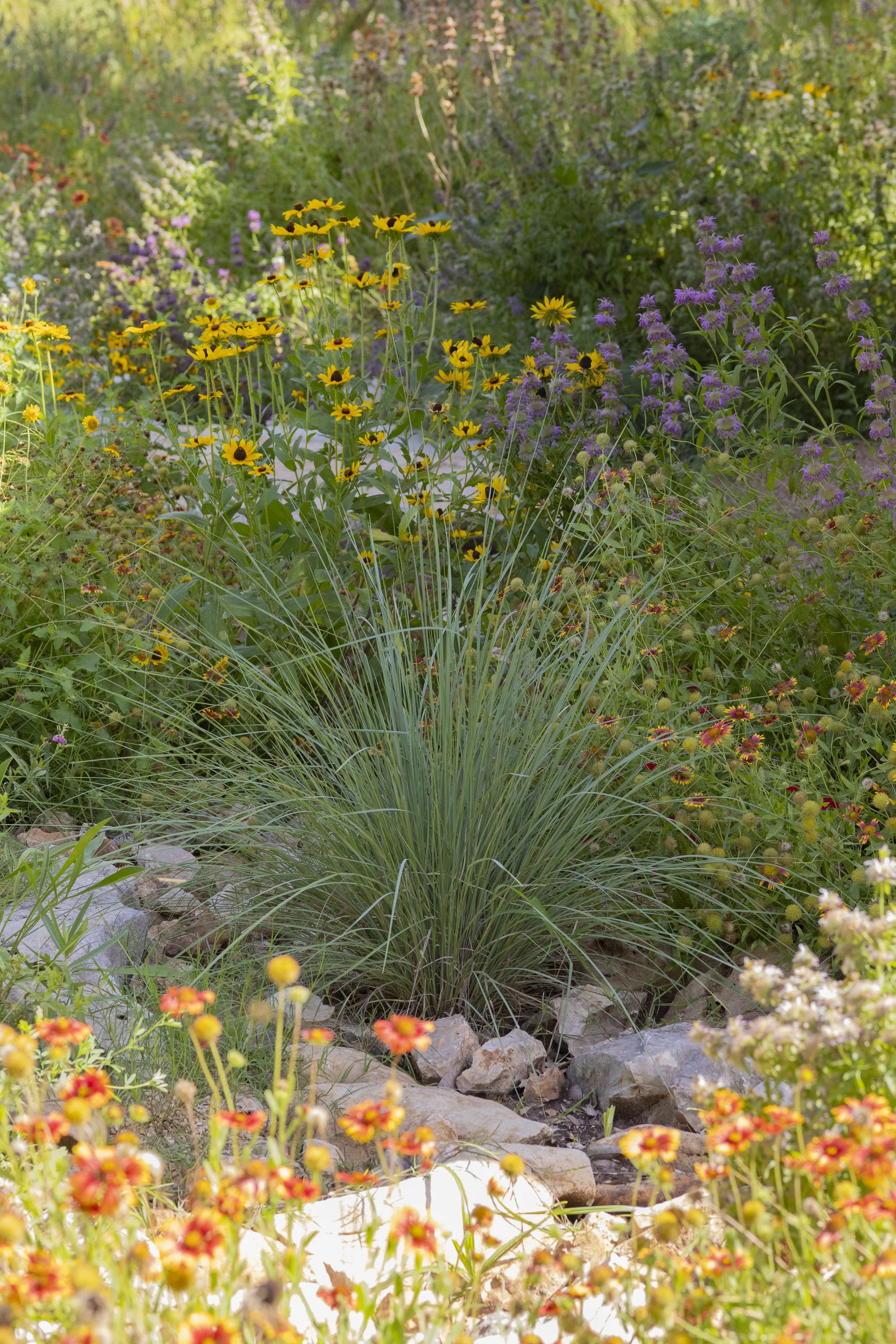 Davis Elementary_SUMMER 25_87.jpg