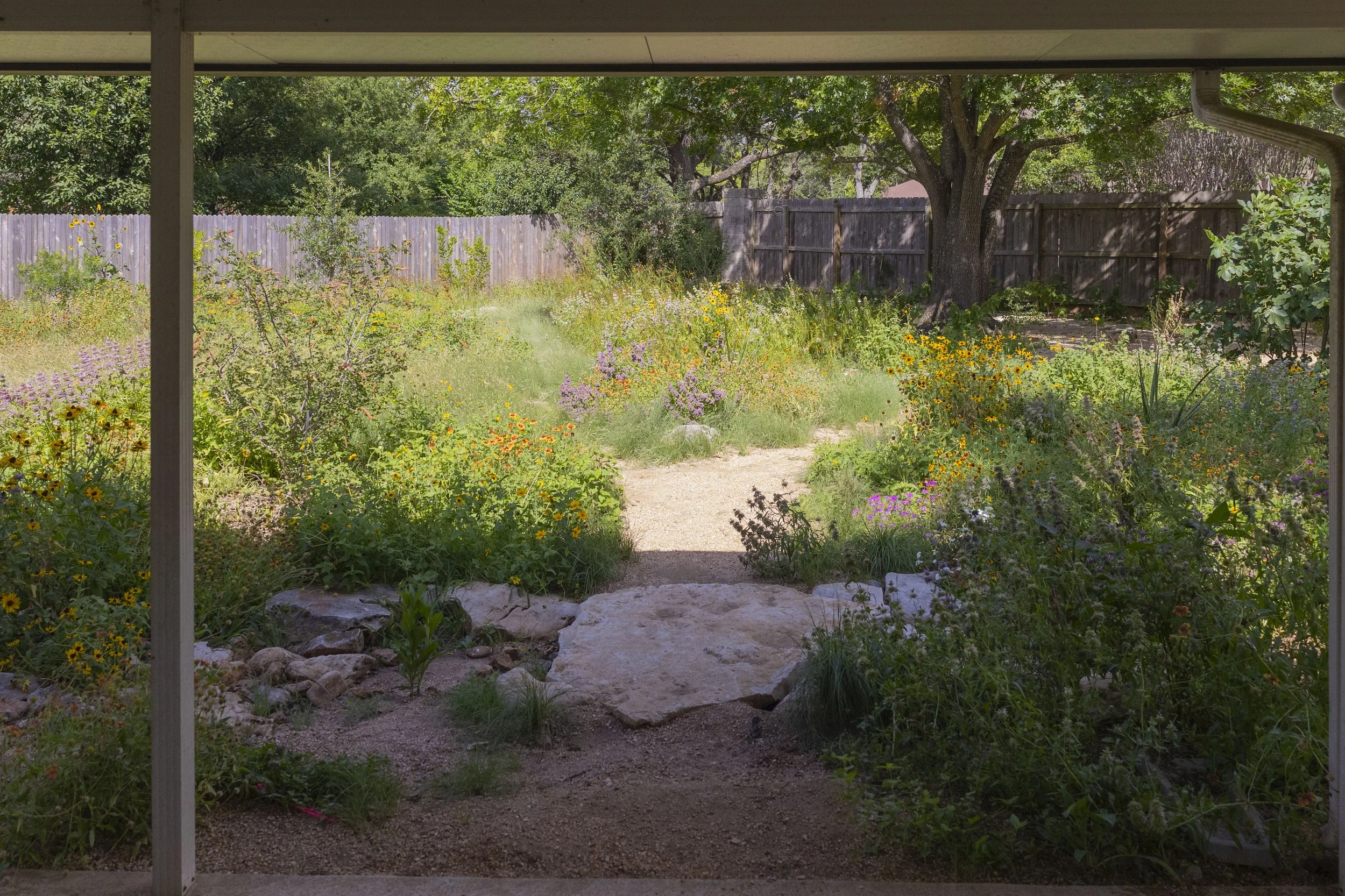 Davis Elementary_SUMMER 25_75.jpg