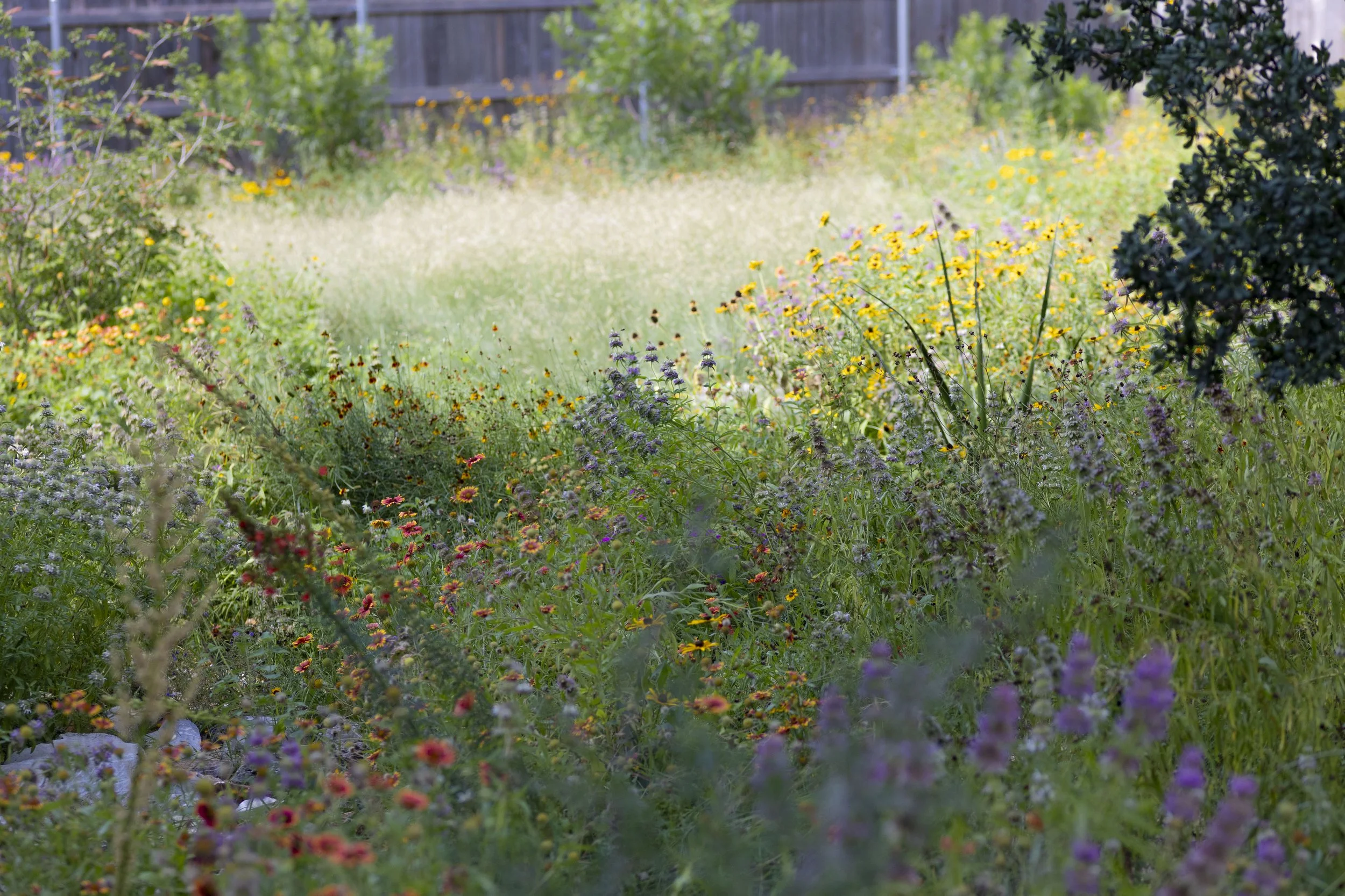 Davis Elementary_SUMMER 25_101.jpg